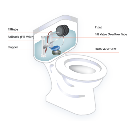 toilet-graphic Toilet infographic