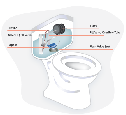 Toilet infographic