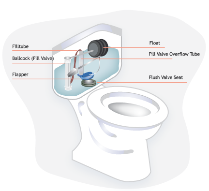 High Water Bill - Water Utility Management